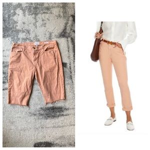 Frame Le Garçon Shorts Size 29